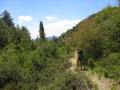 kypr_troodos (5)