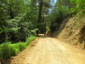 kypr_troodos (7)