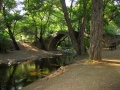 kypr_troodos_bridge