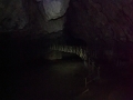 Jeskyně cave Pestera Bolii