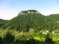 albanie_dardhe_berdhi_i_drenoves_1