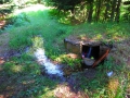 albanie_dardhe_berdhi_i_drenoves_10