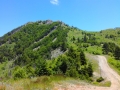 albanie_dardhe_berdhi_i_drenoves_11