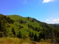 albanie_dardhe_berdhi_i_drenoves_13