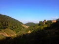 albanie_dardhe_berdhi_i_drenoves_15