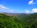 albanie_dardhe_berdhi_i_drenoves_16