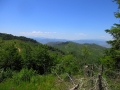 albanie_dardhe_berdhi_i_drenoves_3