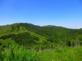 albanie_dardhe_berdhi_i_drenoves_5