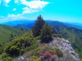 albanie_dardhe_berdhi_i_drenoves_9