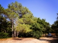 arcachon_dune_du_pilat 4