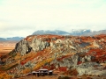 svedsko_kungsleden_20