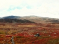 svedsko_kungsleden_26