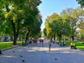 ukrajina_lvov_8